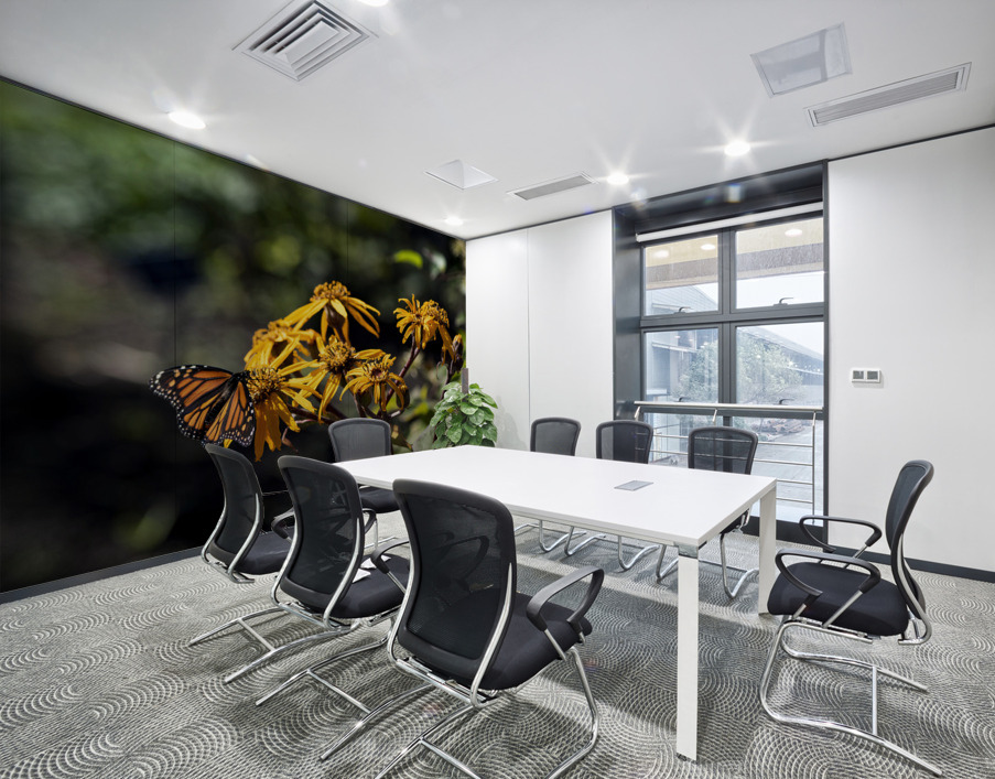 Distant Monarch: Butterfly on Yellow Flowers Wall Printing