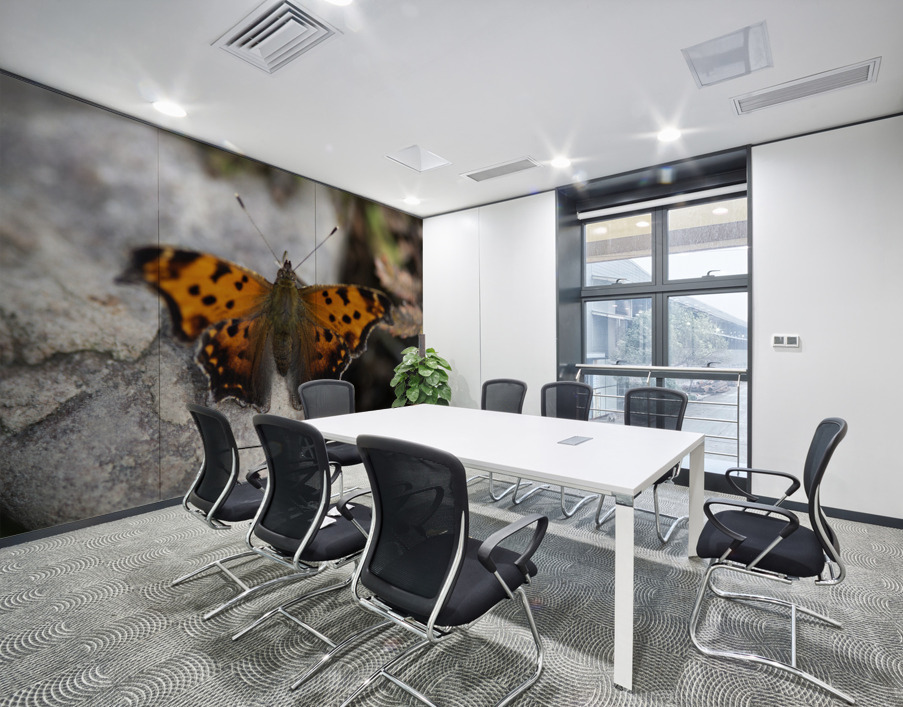 Resting Radiance: Orange-Winged Butterfly on Grey Rock Wall Printing