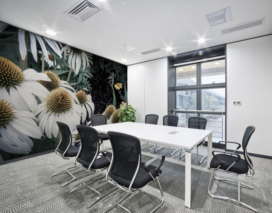 Splendeur botanique : Champs de fleurs dEchinace capture en macro avec une touche de desaturation Wall Printing