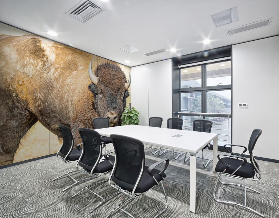 Stare Down Impression murale