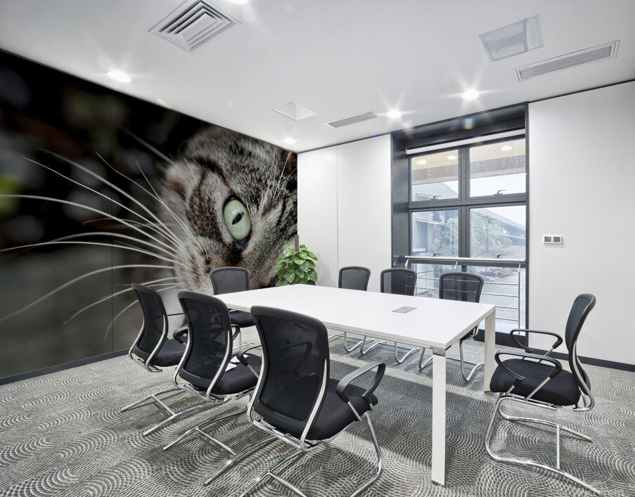 Chatty Cat Following Me Wall Printing