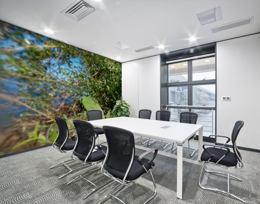 Timmy Dragonfly Wall Printing