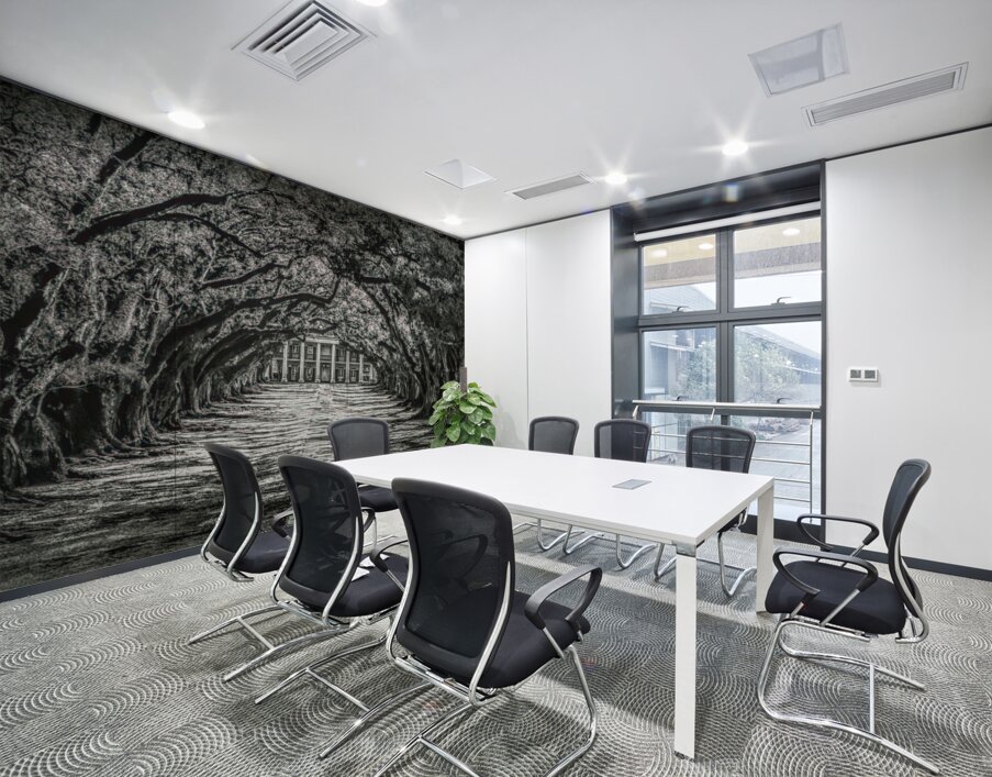 Oak Alley Canopy in Black and White Wall Printing