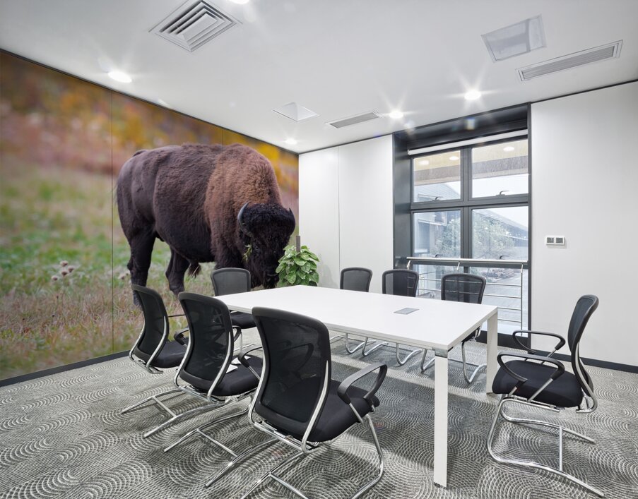 Bulls Eye - Manitoba Bison Wall Printing