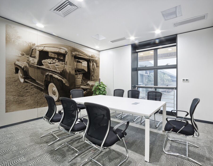 AUTO PORTRAIT 221 Wall Printing