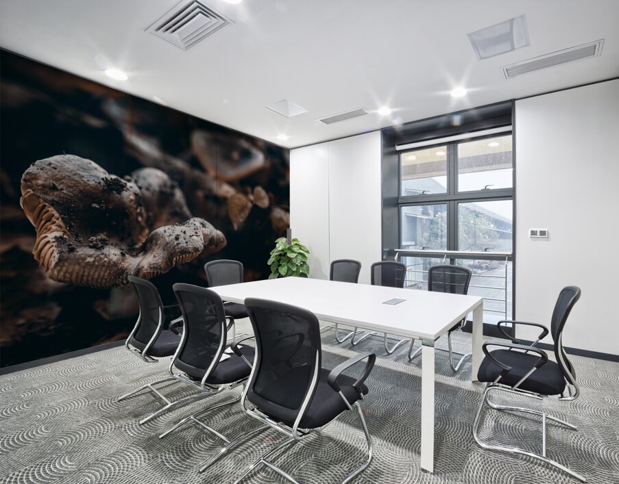 Mystical Fungi: Ring of Mystery Saturnine Mushroom Wall Printing