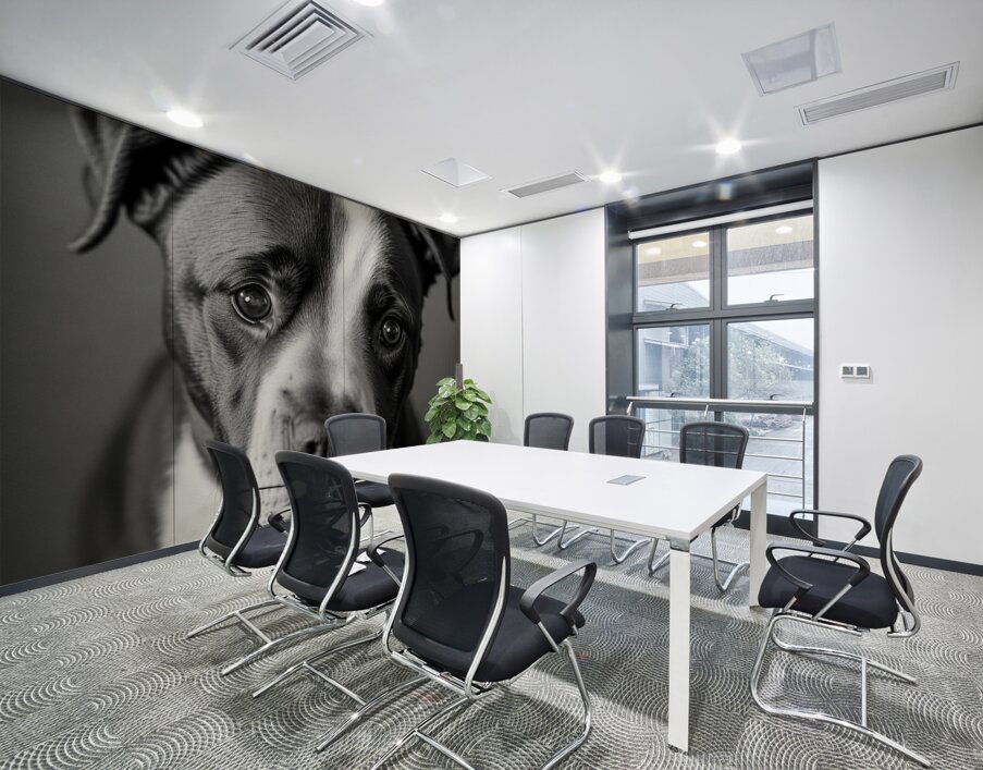 Curious Gaze Wall Printing