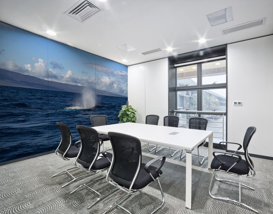 Humpback Whale Spout Blowing near Lahaina Maui Hawaii Wall Printing