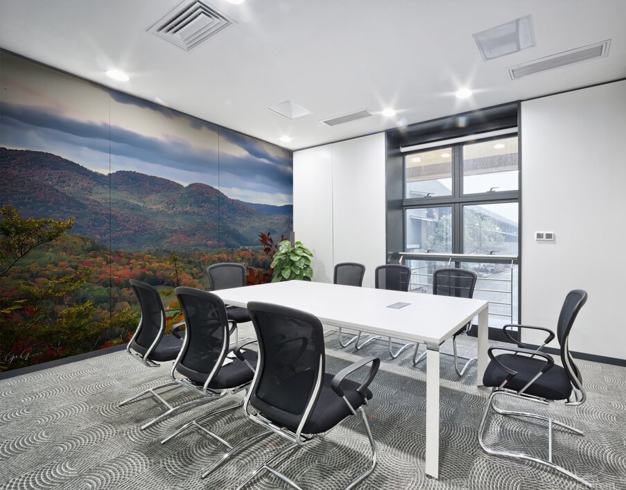 Laurentian View Wall Printing