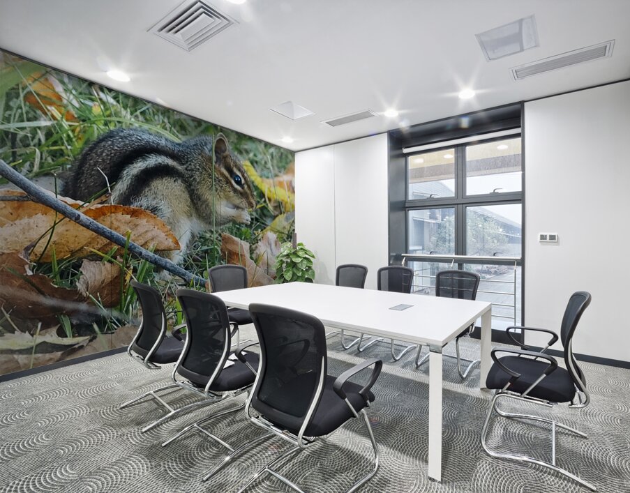 Chipmunk Wall Printing