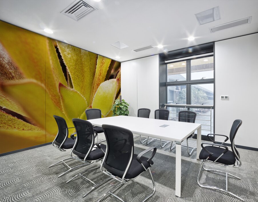 Houseleek  sempervivim plant detail Wall Printing