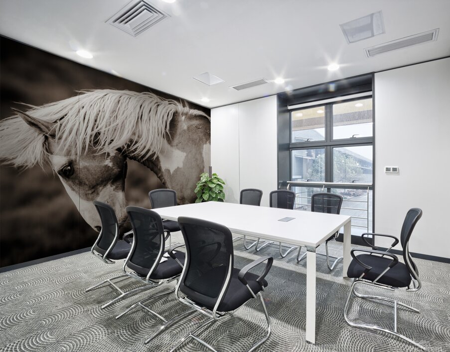 Meteor In Motion Wall Printing