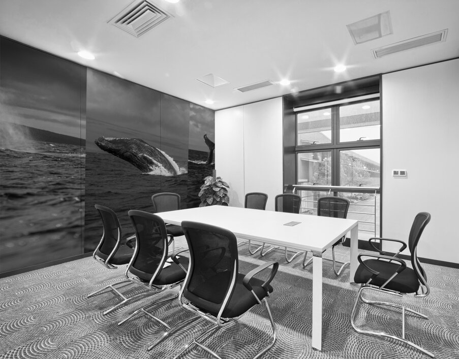 Humpback Whale Spout Breaching Tail Slapping near Lahaina Maui Wall Printing