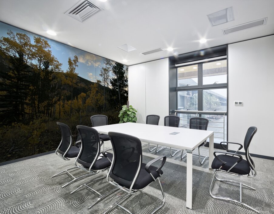 IMG 8279 Wall Printing