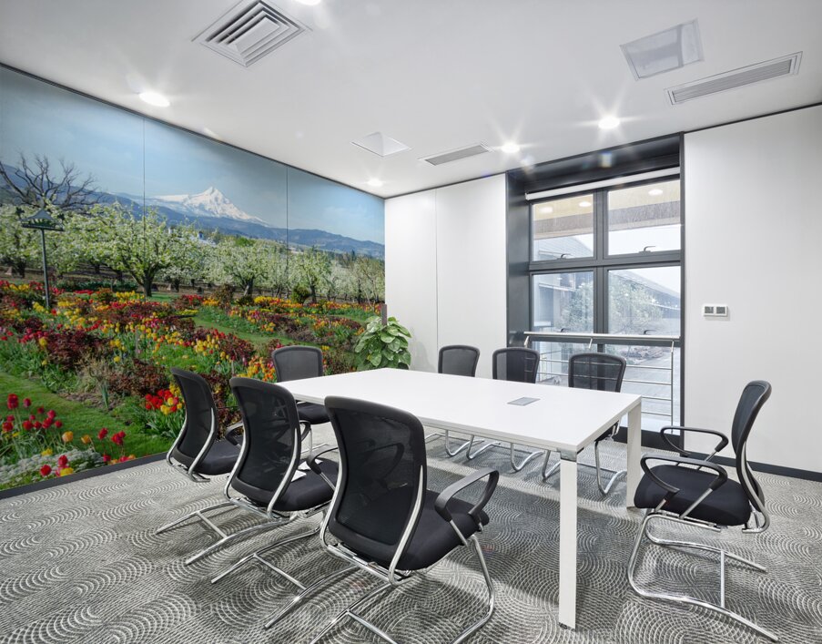 Tulips Wall Printing