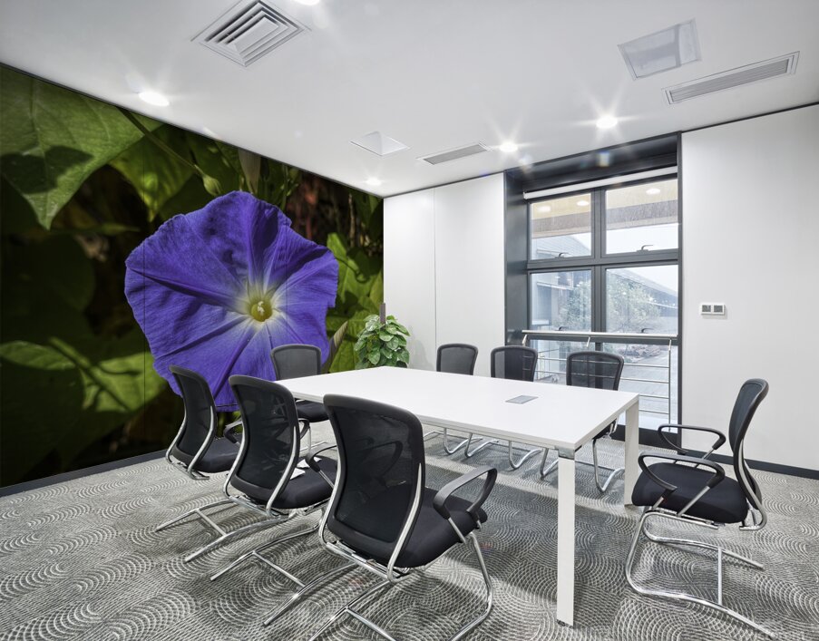 Morning Glory Wall Printing