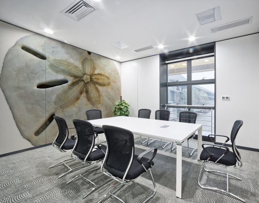 Sand Dollar Beachcombing in Georgia Wall Printing