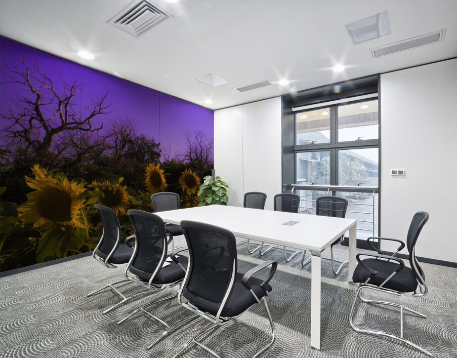 Sunflower Farm Hungary 2023 Wall Printing