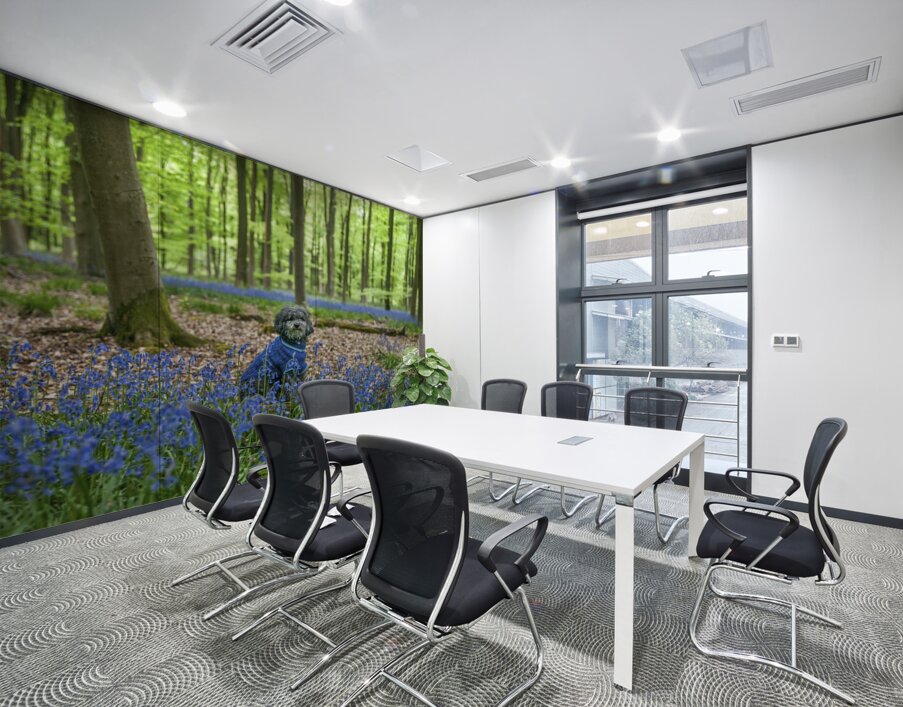 Dog in Bluebells Wall Printing