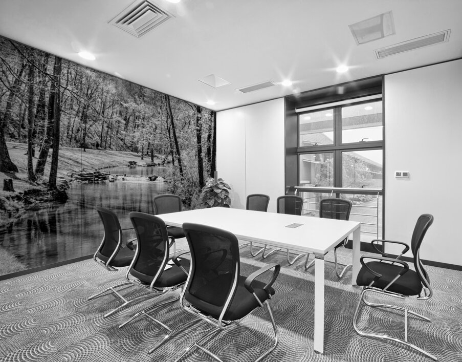 Spring Season Tranquility Grayscale Wall Printing