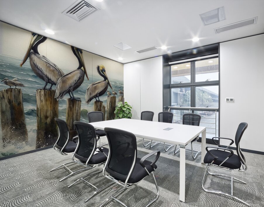 pelicans birds ocean wildlife Wall Printing