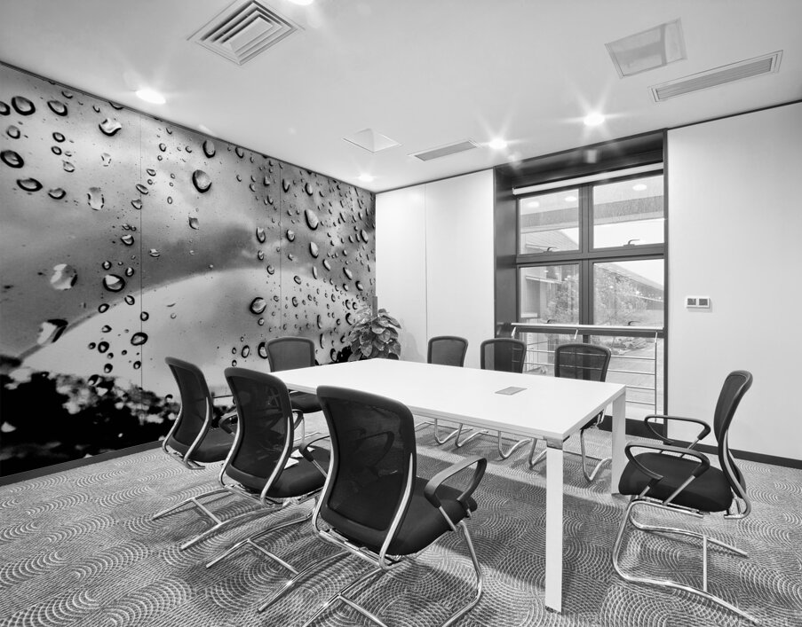 Silver  Rainbow Wall Printing