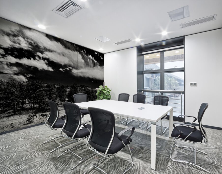 Horse Sky Wall Printing