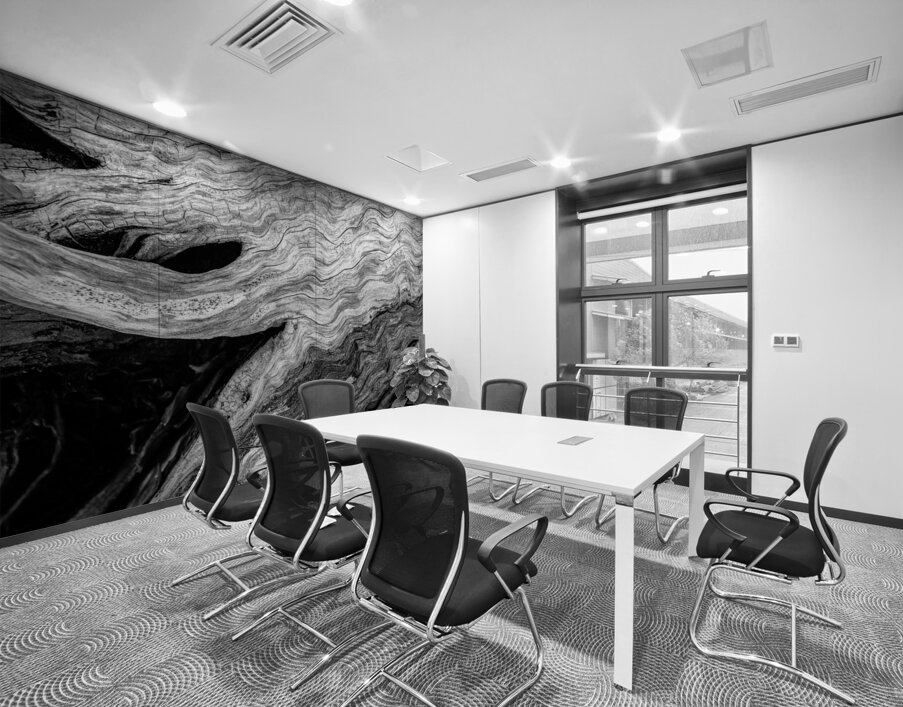 Abstract  Bald Cypress Tree Root Patterns in Black and White Wall Printing