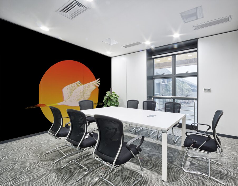 swan bird sun sunset nature morning landscape fly Wall Printing