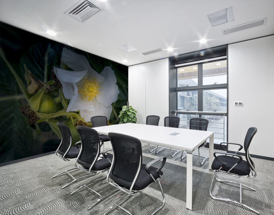 French Normandy Coastline Rose Hips Wall Printing