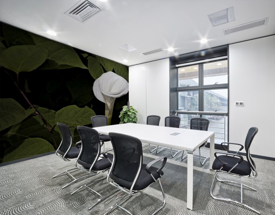 One White Calla Lily  Wall Printing