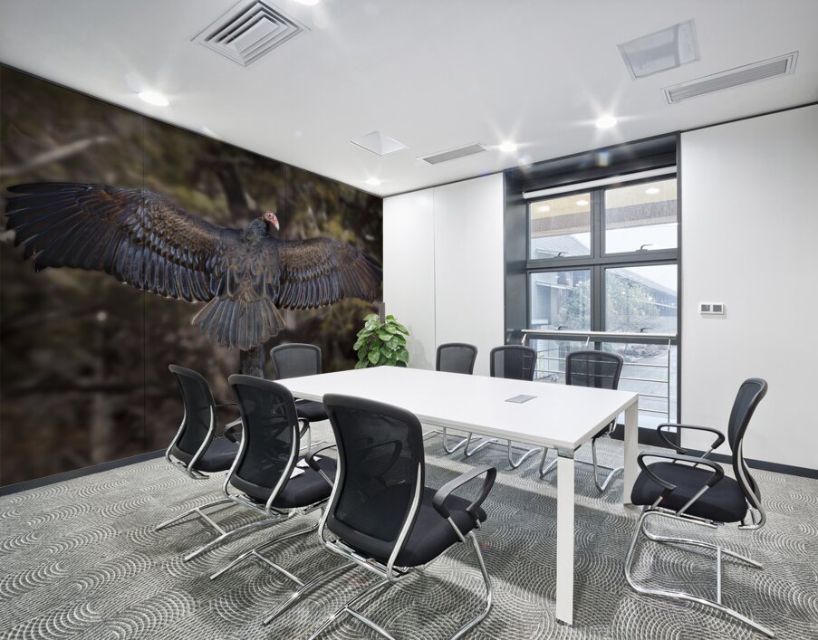 Vulture Rainbow Colors Wall Printing