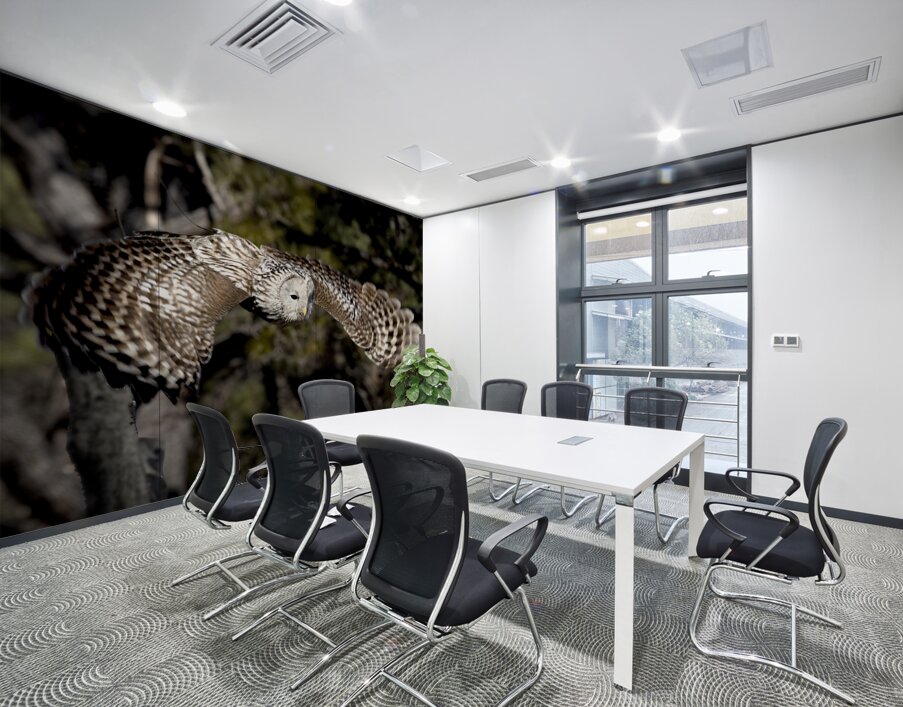 Avian Center for Birds of Prey South Carolina Wall Printing