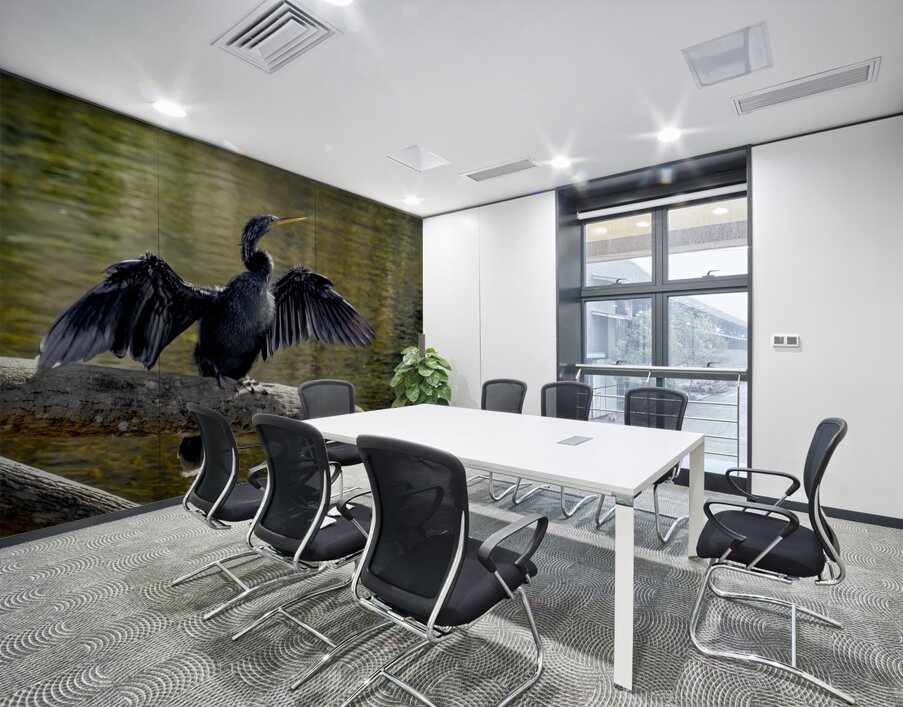 Anhinga Sunning My Wings Wall Printing