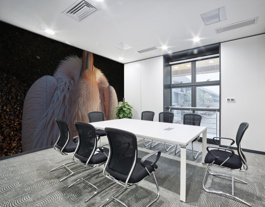 Great White Pelican Wall Printing