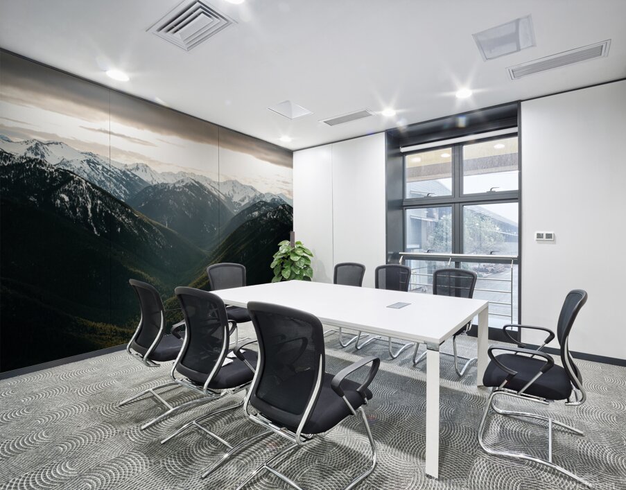 Beams of Light at Hurricane Ridge Wall Printing