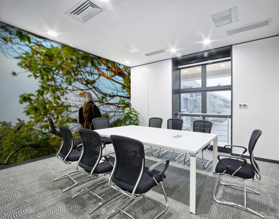 Bald Eagle in the Madrone Tree Wall Printing