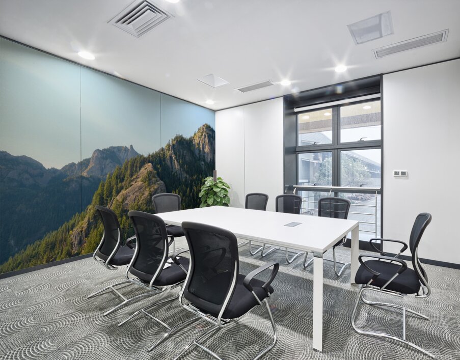 Light in the Olympics Wall Printing