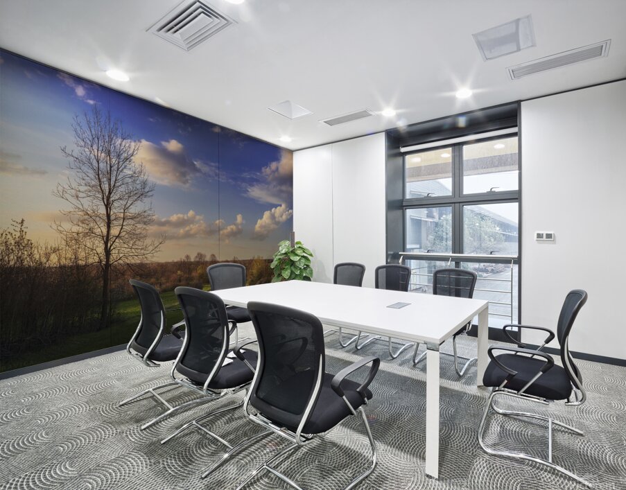 The first signs of spring in the field Wall Printing