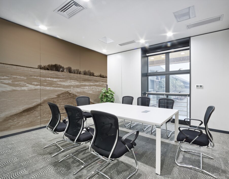 Frozen River Wall Printing