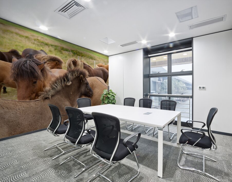 Icelandic horses grazing in a pasture. Wall Printing
