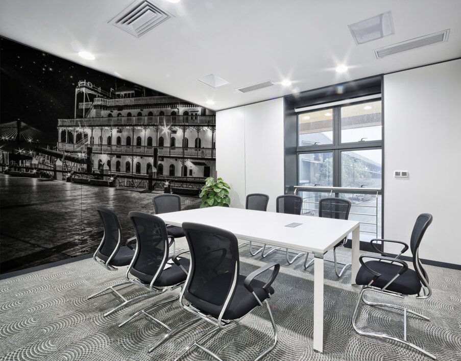 Georgia Queen at Historic Savannah Georgia Wall Printing