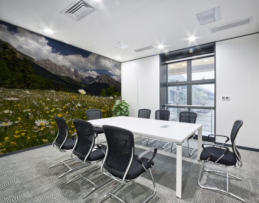 Dolomite Wild Flower Heaven Wall Printing