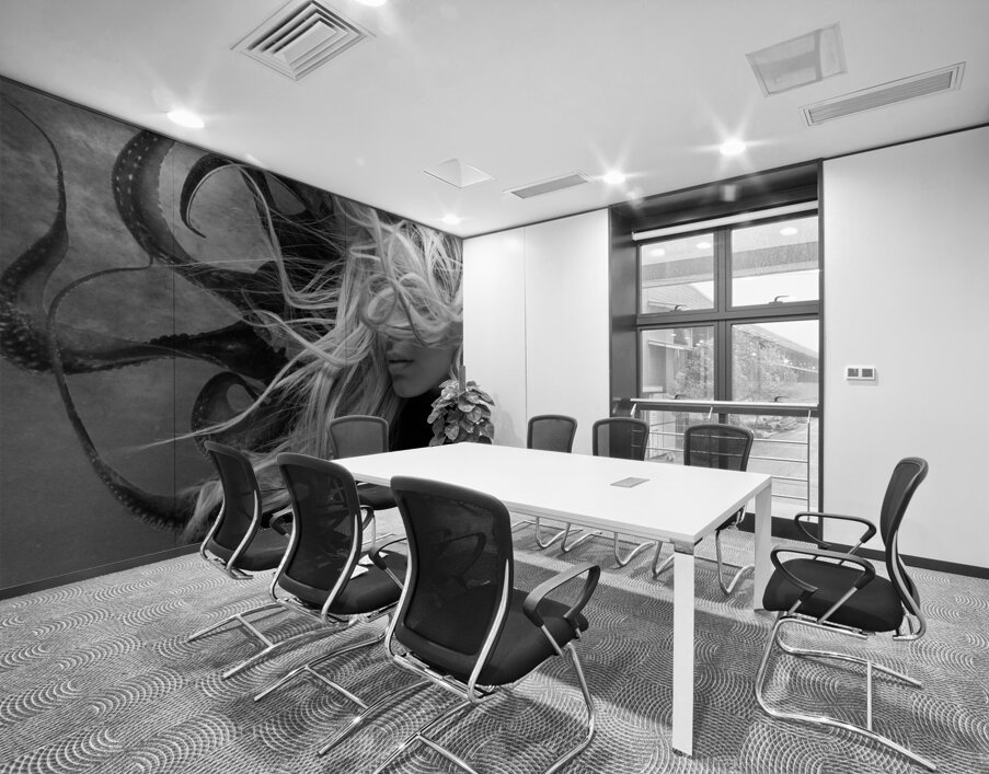 QGF 002 – Octopus Leg and Goldie Locks Wall Printing