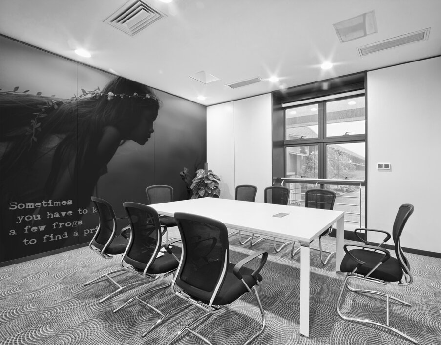 QTY 004b – Frog Prince Wall Printing