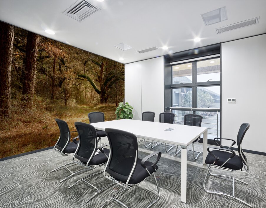 McClellanville Forest Wetlands Trail Wall Printing