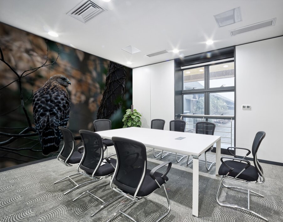 Red Shouldered Hawk  Wall Printing