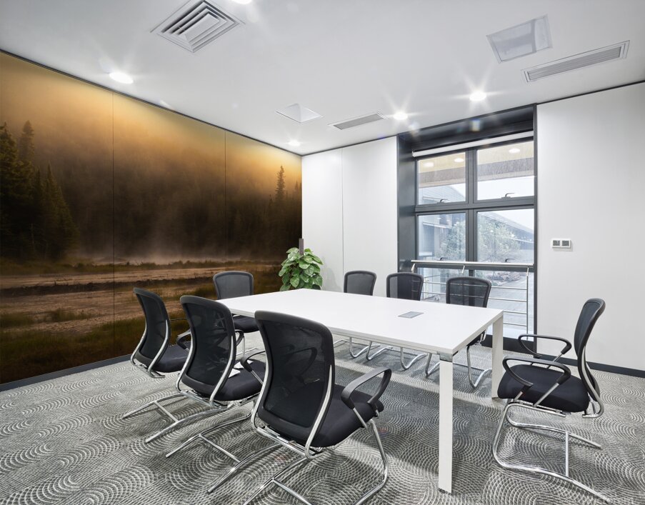 Summer morning in Algonquin Park Wall Printing