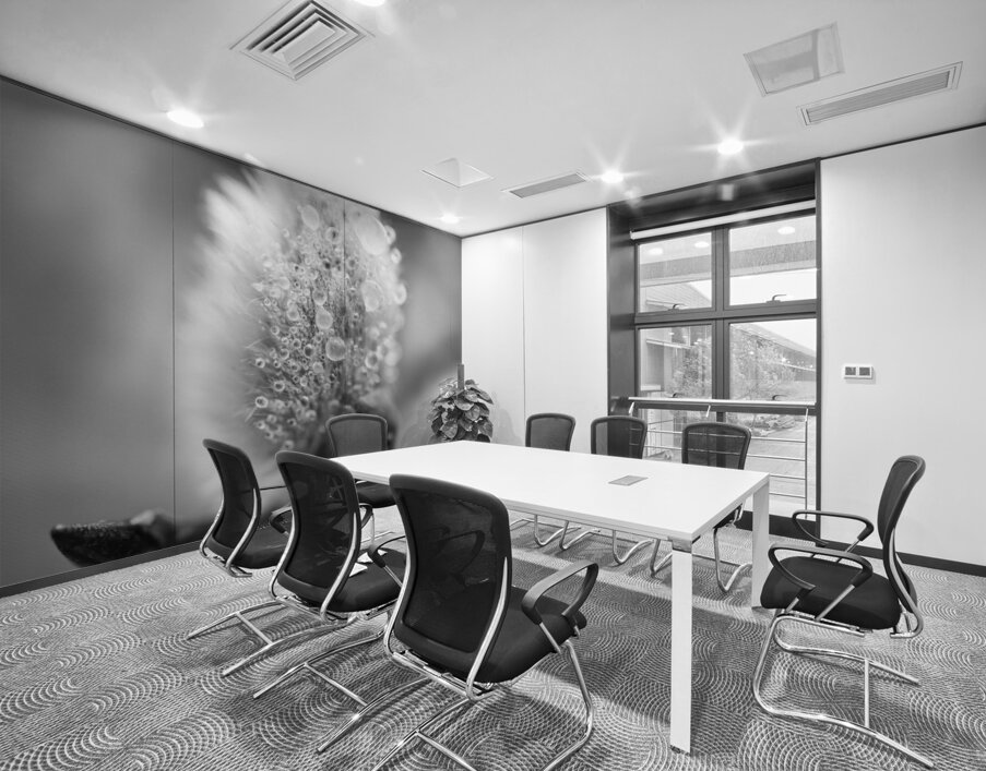 Pussy WIllow Flower With Droplets B&W Wall Printing