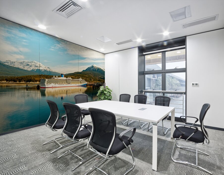 Cruise Ship in Juneau Alaska Wall Printing